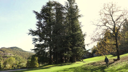 architetto_dario_castellino